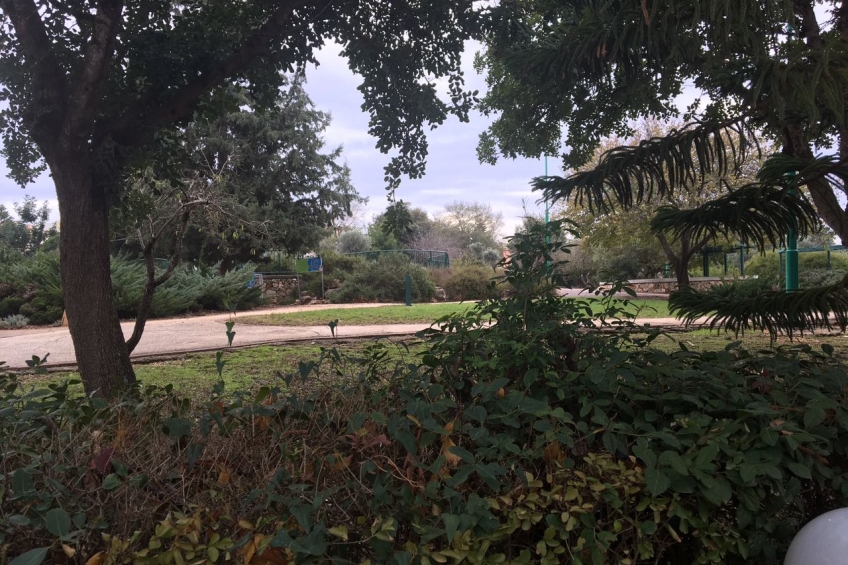 WhatsApp Image 2016-12-19 at 13.45.51.jpeg