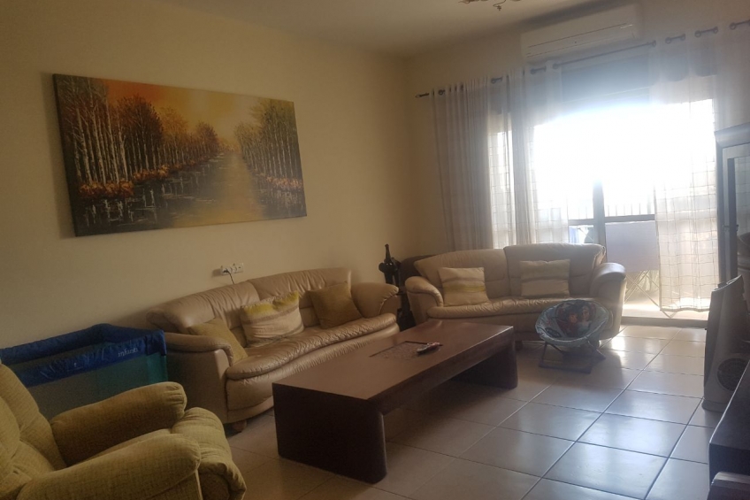  עובדה סמדר .jpeg