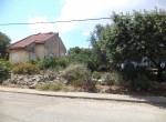 DSC03728
